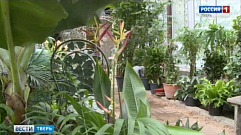 Открытие оранжереи в Ботаническом саду