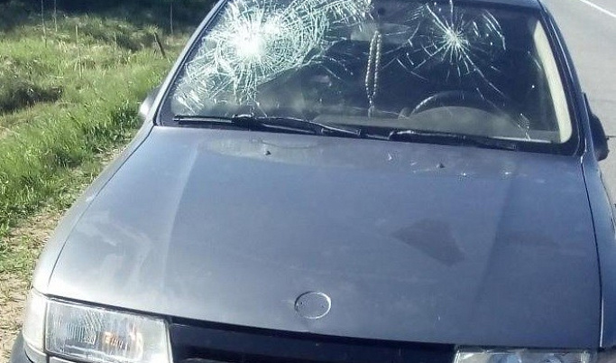 В Нелидово водитель сбил пешехода, пытаясь избежать столкновения с машиной