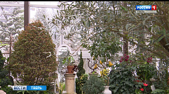 Зеленый дом Ботанического сада ТвГУ отмечает день рождения