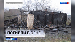 Происшествия в Тверской области сегодня | 16 ноября | Видео