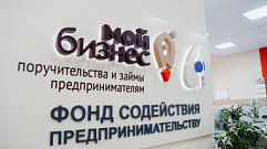 Предпринимателям Тверской области за год выдали микрозаймы на сумму более 880,8 млн рублей