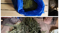 Полицейские нашли у жителя Тверской области почти 800 граммов наркотиков