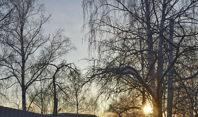 22 декабря световой день в Тверской области продлится всего 7 часов