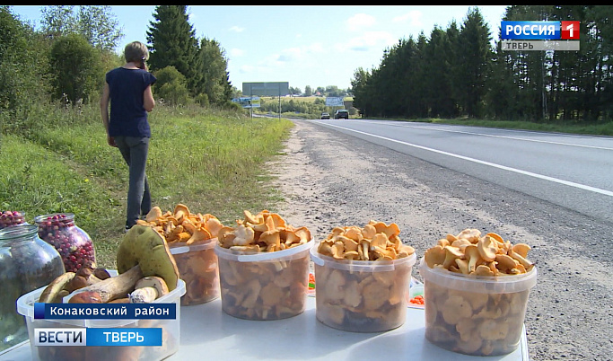 Тверитянам советуют не покупать грибы и ягоды возле обочин дорог