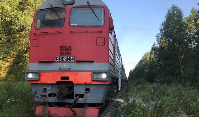 В Тверской области на железнодорожной станции загорелся тепловоз