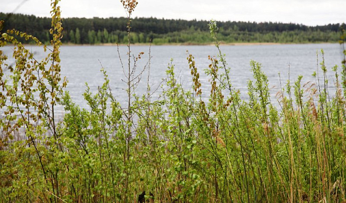 На водохранилище в Тверской области утонул 26-летний мужчина