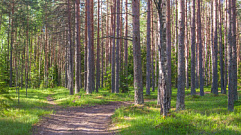 В Тверской области утвердили границы ещё 15 особо охраняемых природных территорий