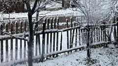 Утром в Тверской области выпал снег 