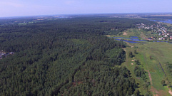 Площадь земель лесного фонда в Тверской области в 2022 году увеличилась до 5 млн га 