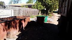 Жители деревни Николо-Малица в Тверской области добились уборки мусора 