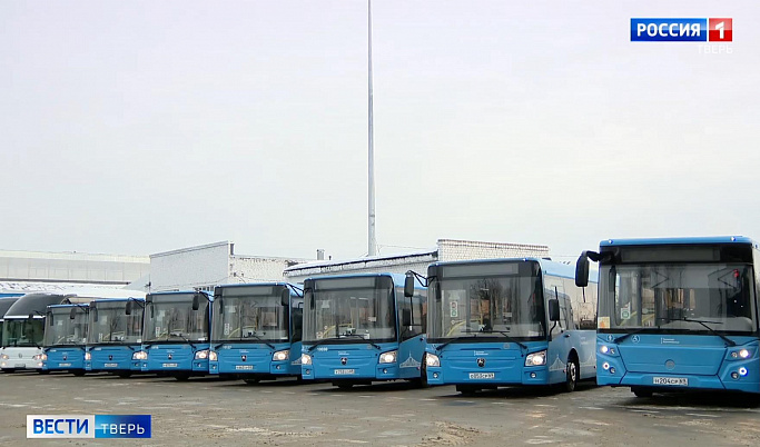 Год назад на дороги Твери выехали первые автобусы «Транспорта Верхневолжья»