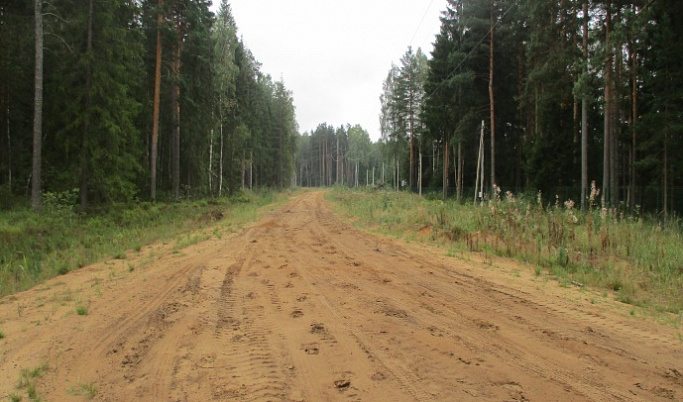 В Тверской области сотрудники Минприроды предотвратили загрязнение леса