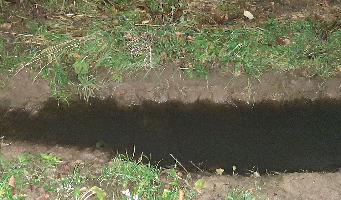 В Тверской области организация сбрасывала сточные воды в почву
