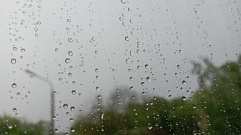 К концу недели Тверскую область накроют дожди и грозы