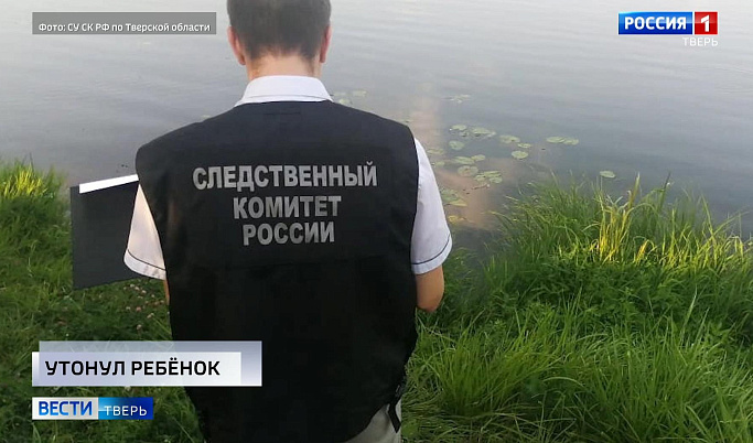 Происшествия в Тверской области 24 августа | Видео