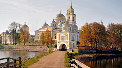 Осташков стал популярным городом для путешествий с питомцами