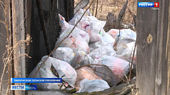 Жители Тверской области несколько лет просят установить новые мусорные контейнеры