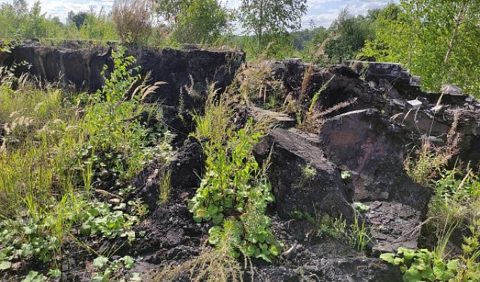 Из заброшенного завода в Тверской области на почву вытекли мазут и битум