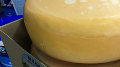 В Твери уничтожат 33 килограмма санкционного сыра