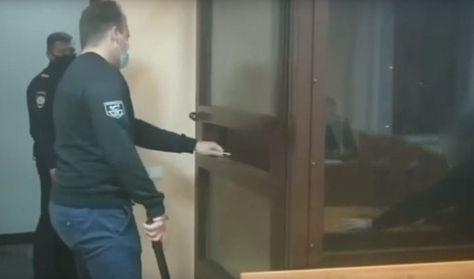 Тверской суд арестовал подозреваемых в убийстве беременной лосихи