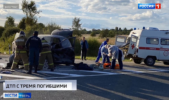Происшествия в Тверской области сегодня | 24 августа | Видео