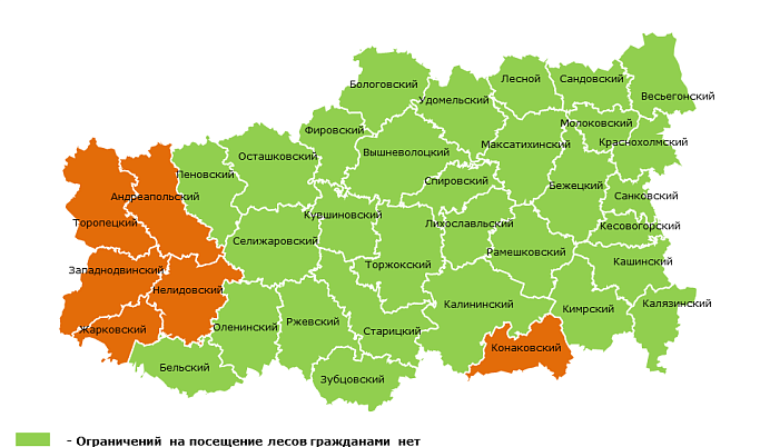 В 32 муниципалитетах Тверской области сняли ограничения пребывания граждан в лесах