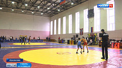 Тверская область приняла турнир по вольной борьбе «За други своя»
