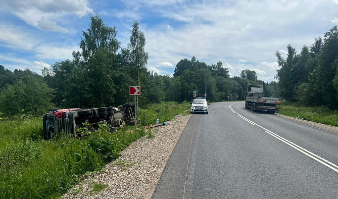 В Тверской области из-за дикого животного фура вылетела в кювет