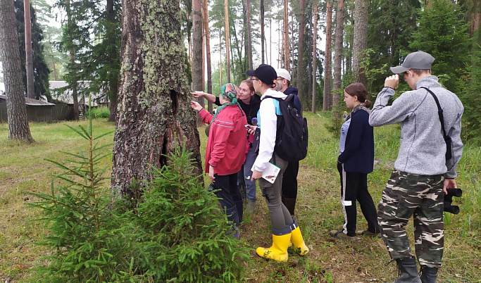 Тверские школьники прошли обучение в «Академии леса»