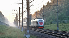 Высокоскоростной поезд насмерть сбил мужчину в Конаковском округе