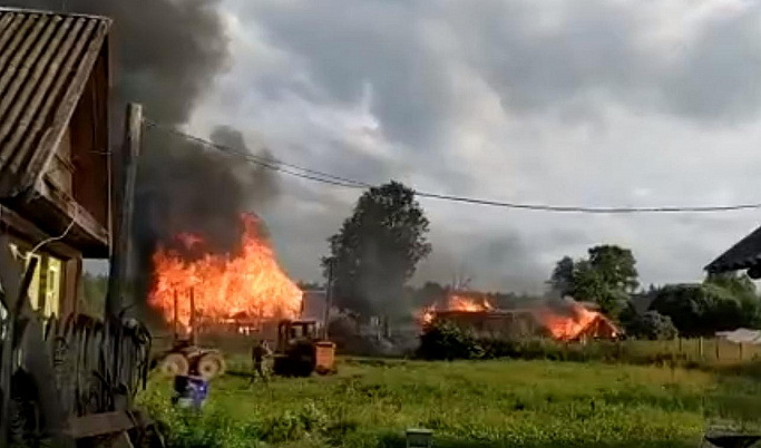 В сети появилось видео ужасного пожара в Тверской области, который разрушил два дома