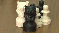Жители Твери смогут сыграть в медвежьи шахматы