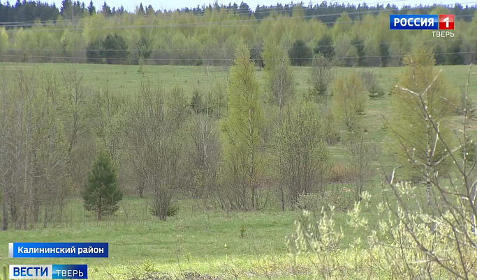 В Тверской области проверяют использование земель сельхозназначения