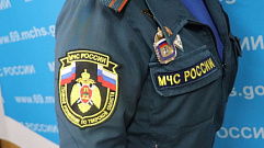 В Тверской области сохраняется повышенная пожарная опасность 