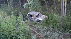 В Тверской области «Нива» протаранила дерево, погибла пассажирка