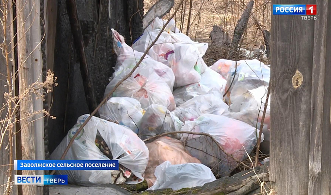 Жители Тверской области несколько лет просят установить новые мусорные контейнеры