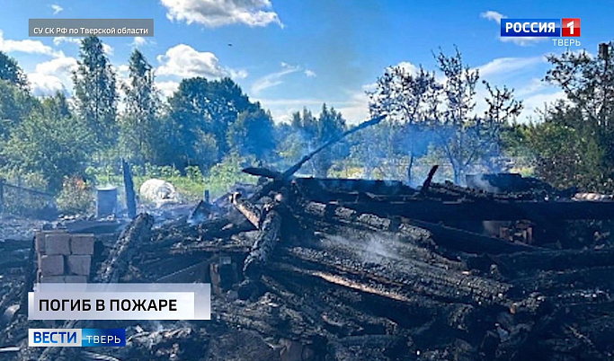 Смертельное ДТП на Дарвина; тело мужчины на пожаре: происшествия в Тверской области 24 июля