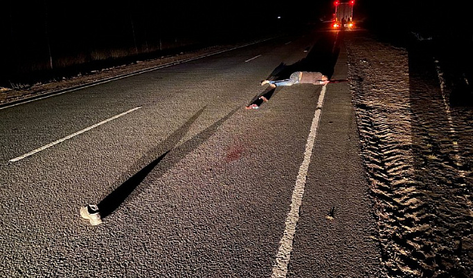 Пешеход погиб в результате ночного ДТП в Тверской области