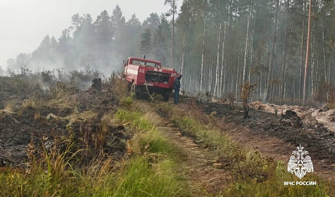 Огнеборцы потушили остатки от рубки леса в Тверской области