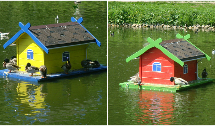 На пруду во Ржеве установили домики для уток
