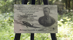 В Оленинском районе установили мемориальный знак летчику Василию Родичеву  
