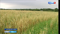 В Сонковском районе восстанавливается сельхозпредприятие