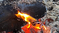 В Калининском округе огнеборцы тушили лес