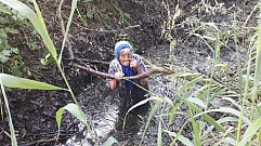 В Тверской области из болота спасли бабушку 