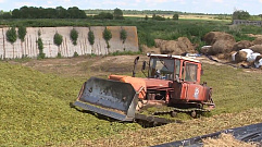 Хозяйства Тверской области заготовили более 68 тысяч тонн сена и сенажа