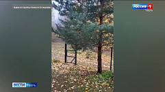 В Тверской области прошел первый снег
