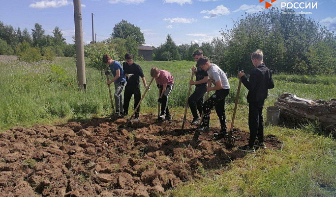 340 подростков из Тверской области планируют трудоустроиться на сельхозпредприятия летом