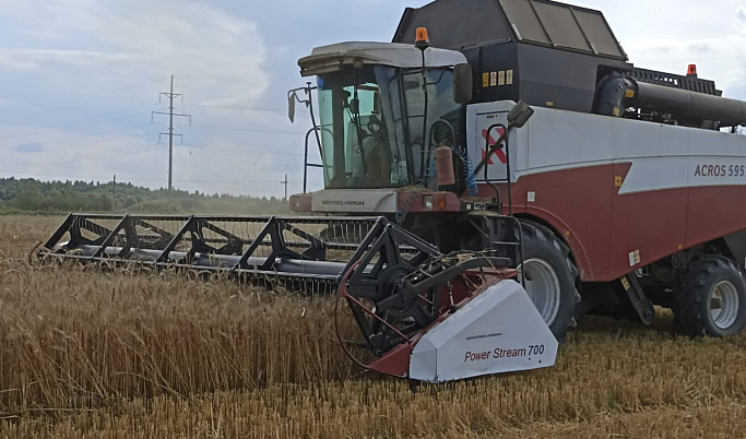 Первые пять районов Тверской области приступили к уборке озимой пшеницы