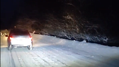 Житель Тверской области предупредил водителей о перебегающих дорогу лосях