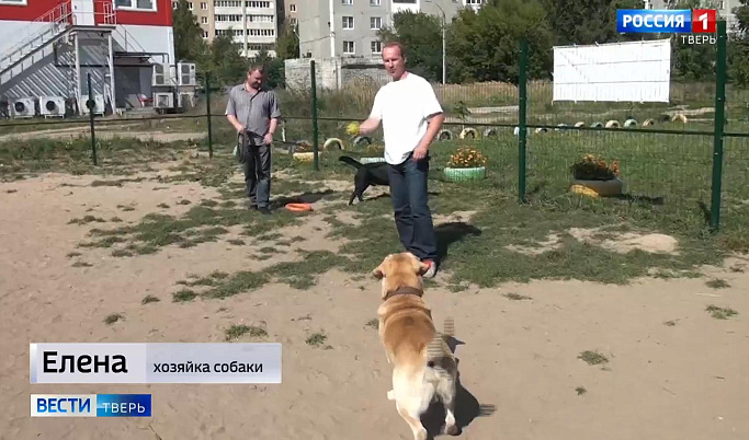 В Твери появилась первая муниципальная площадка для выгула собак